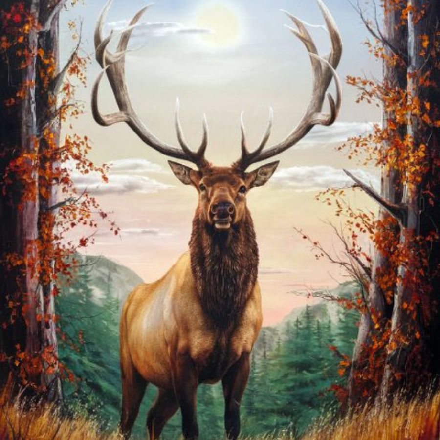 Deer Diamond Paintings Collection