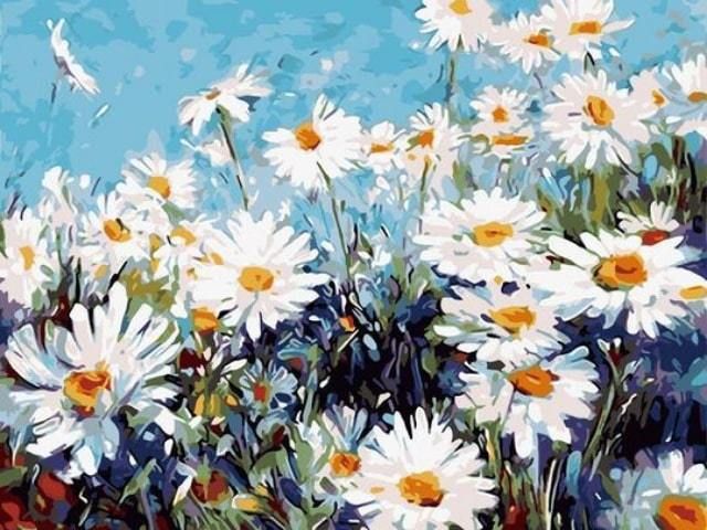 Daisy Flower - Diamond Painting