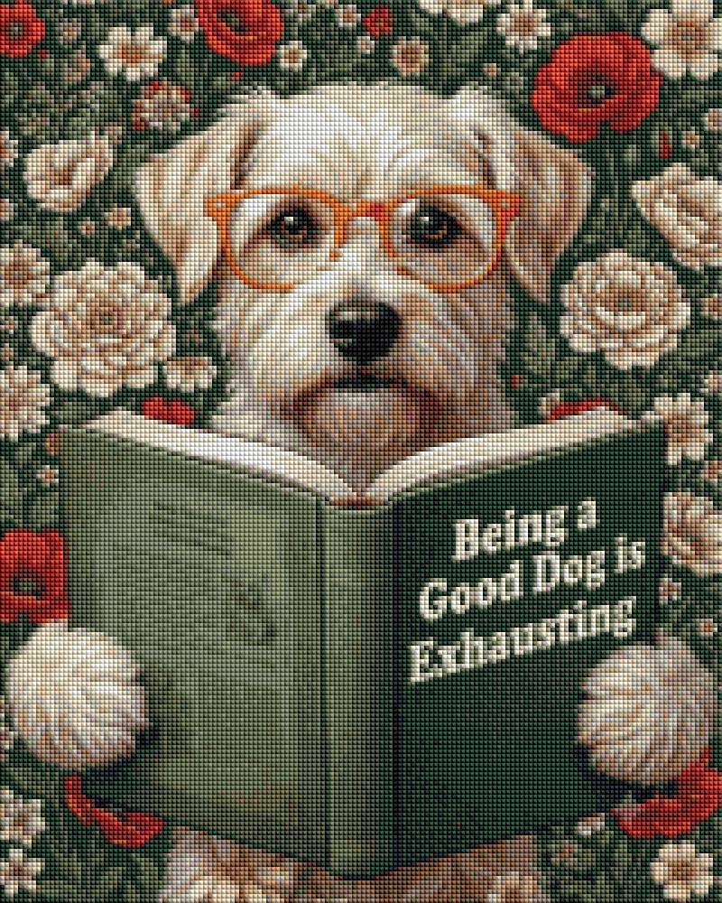 Dog Reading Book - Diamond Art