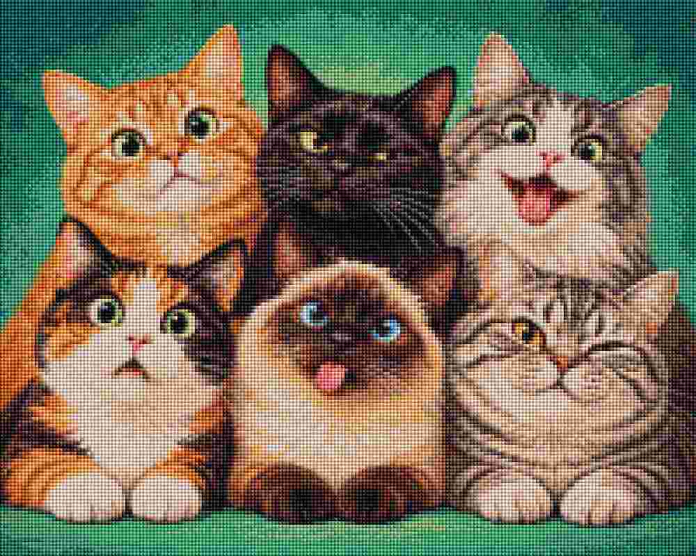 Funny Cat Faces - Diamond Art
