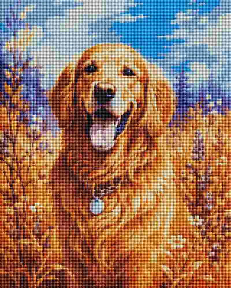 Golden Retriever - Diamond Art