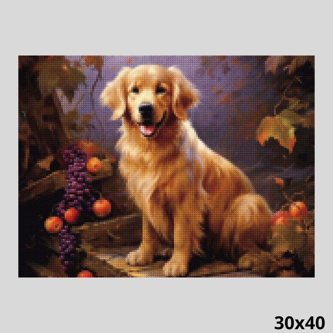 Dog and Fruits - 30x40cm (12x16in) / Square
