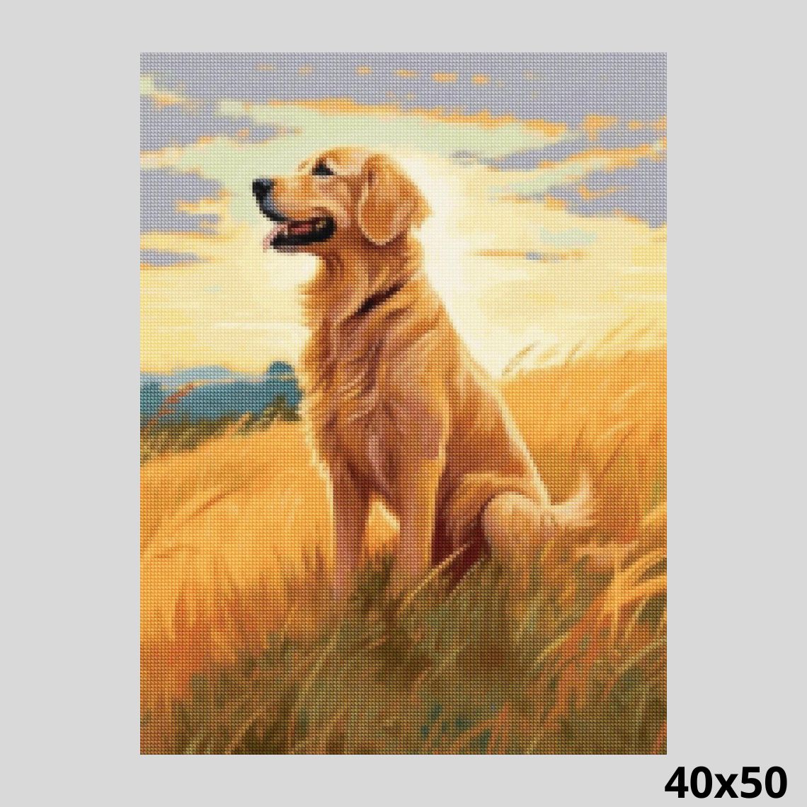 Golden Retriever 40x50 Diamond Painting