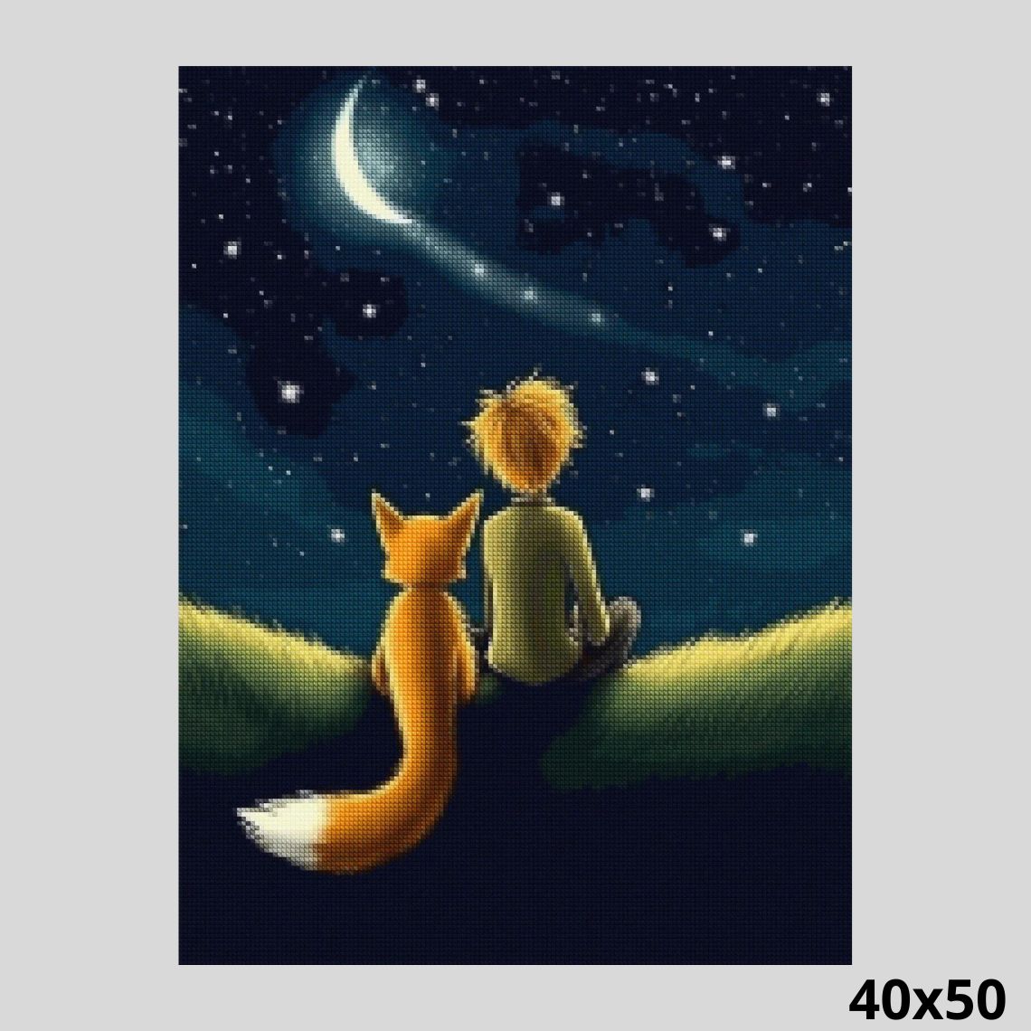 Little Prince 40x50 - Diamond Painting