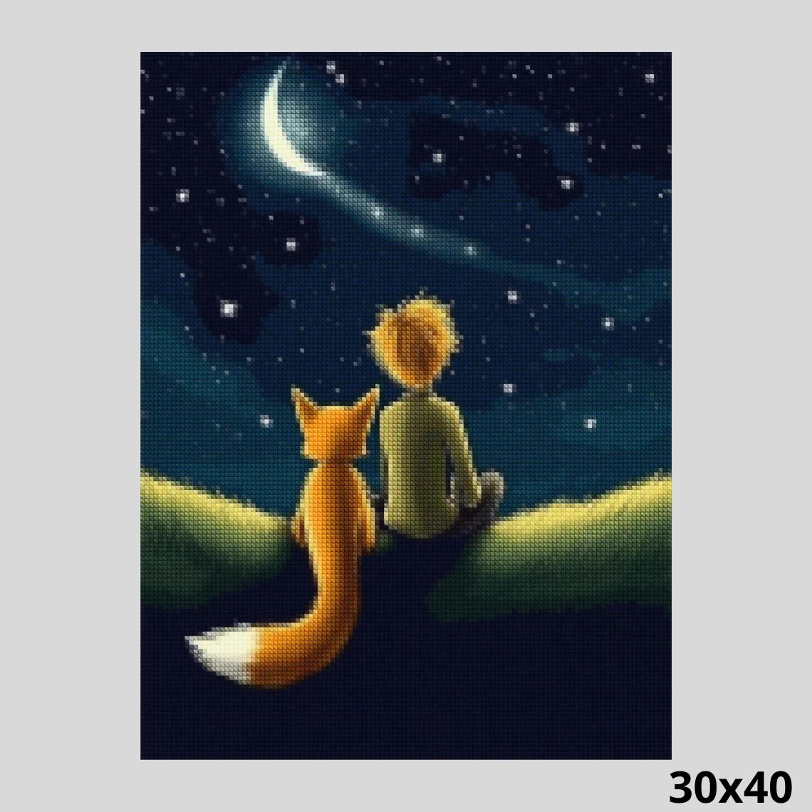 Little Prince 30x40 - Diamond Painting