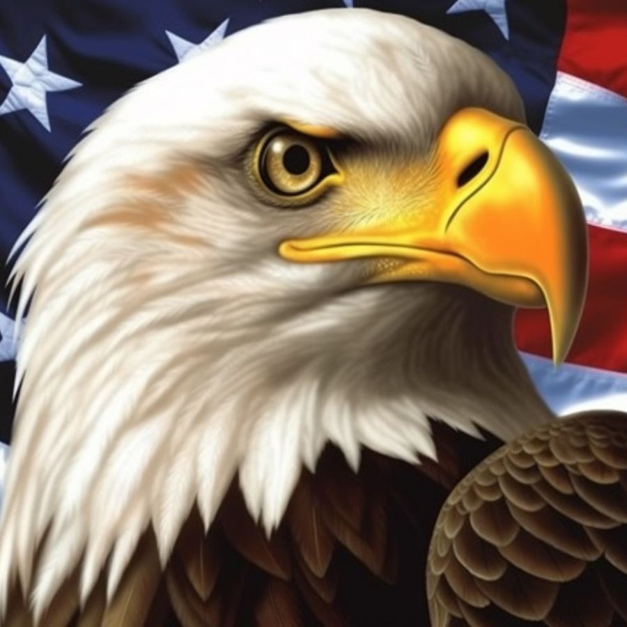 Eagle Diamond Paintings Collection