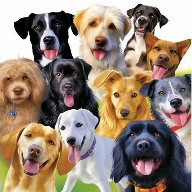 Dog Collection - Diamond Painting
