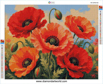 Beautiful Poppy Flowers - Diamond Painting Layout