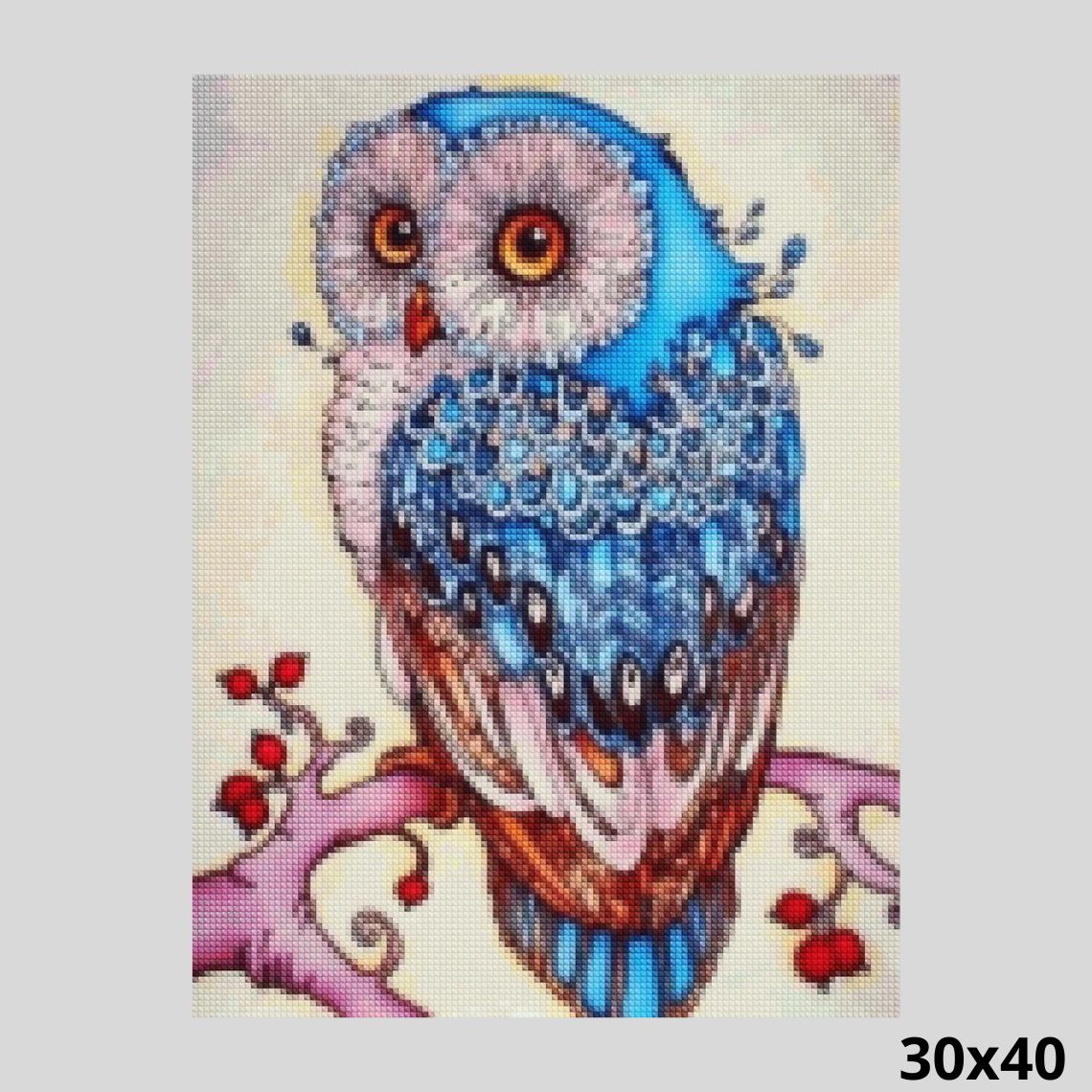 Blue Owl 30x40 - Diamond Painting