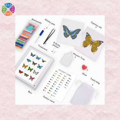 Butterfly Mini Diamond Painting - package