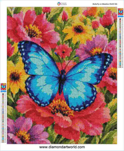 Butterfly on Meadow - Diamond Painting Layout
