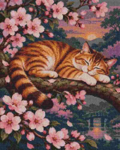 Cat in Cherry Blossom - Diamond Art
