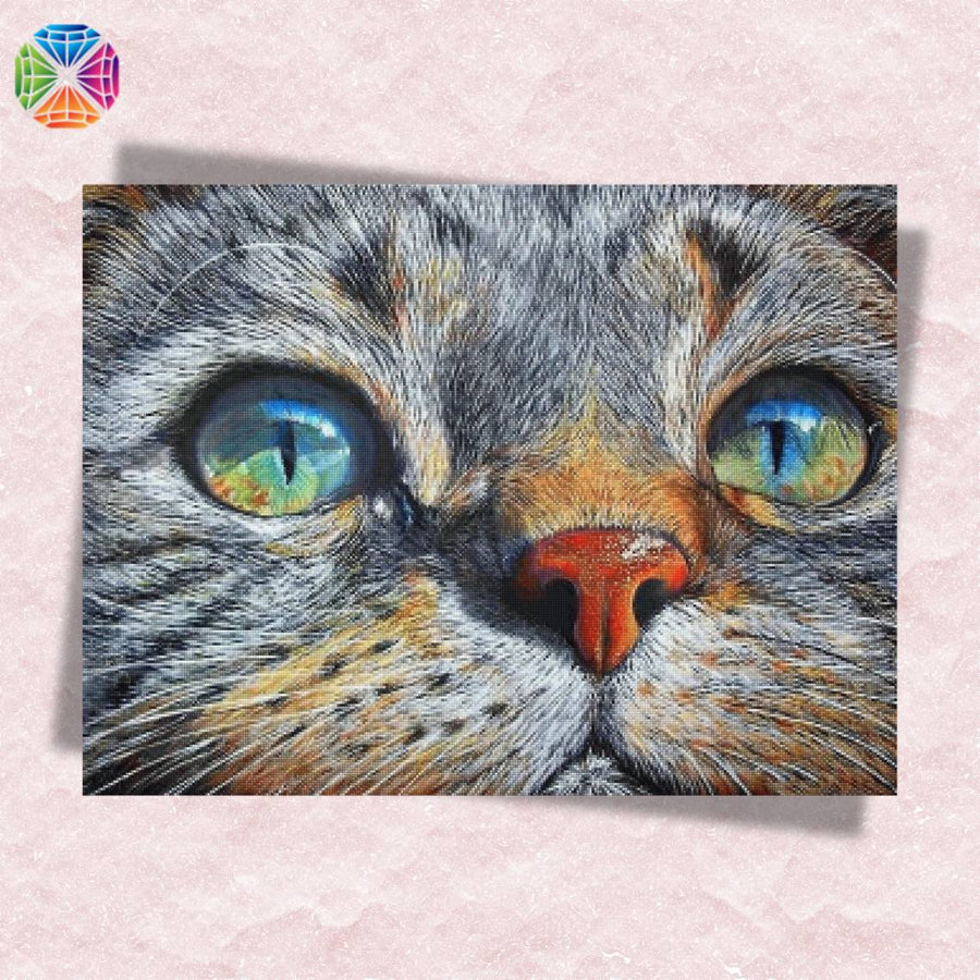 Cat with Blue Eyes – Diamond Painting