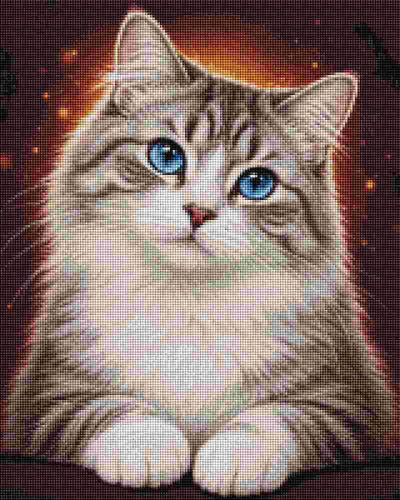 Cat with Blue Eyes - Diamond Art
