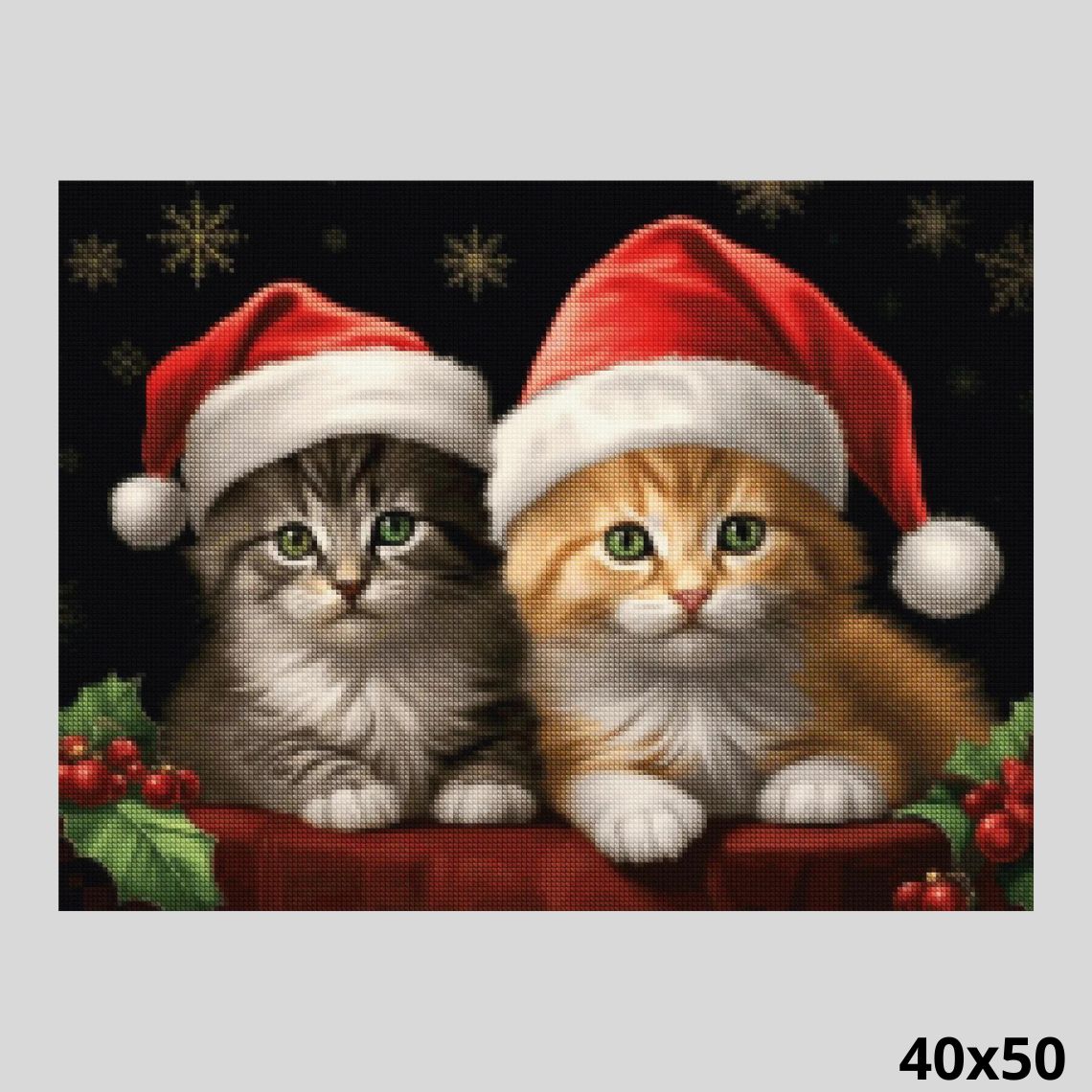 Cats On Christmas 40x50 - Diamond Painting