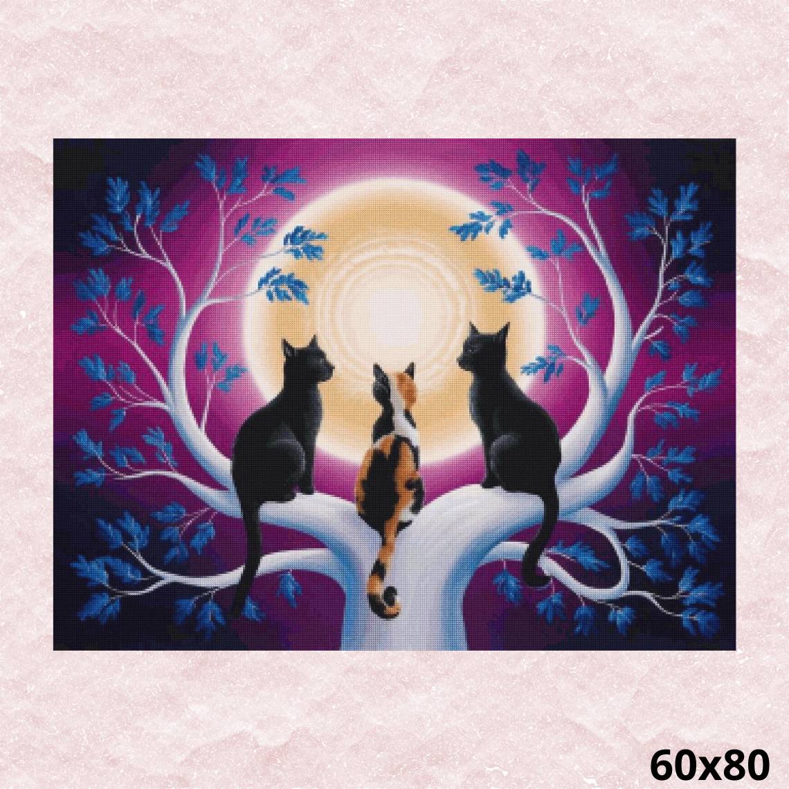 Cats Session 60x80 - Diamond Painting