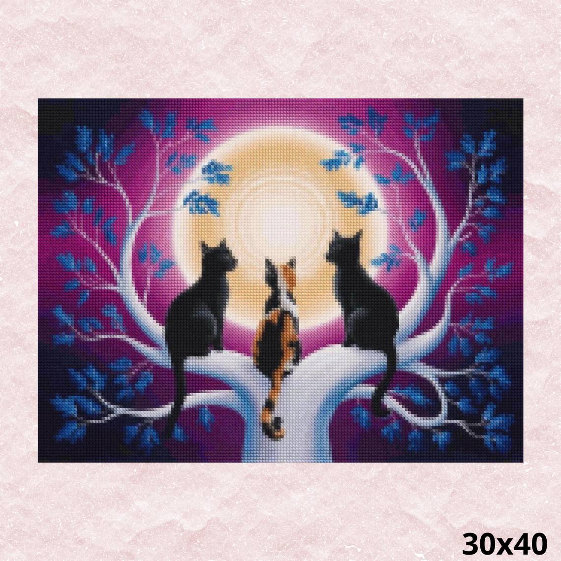 Cats Session 30x40 - Diamond Painting