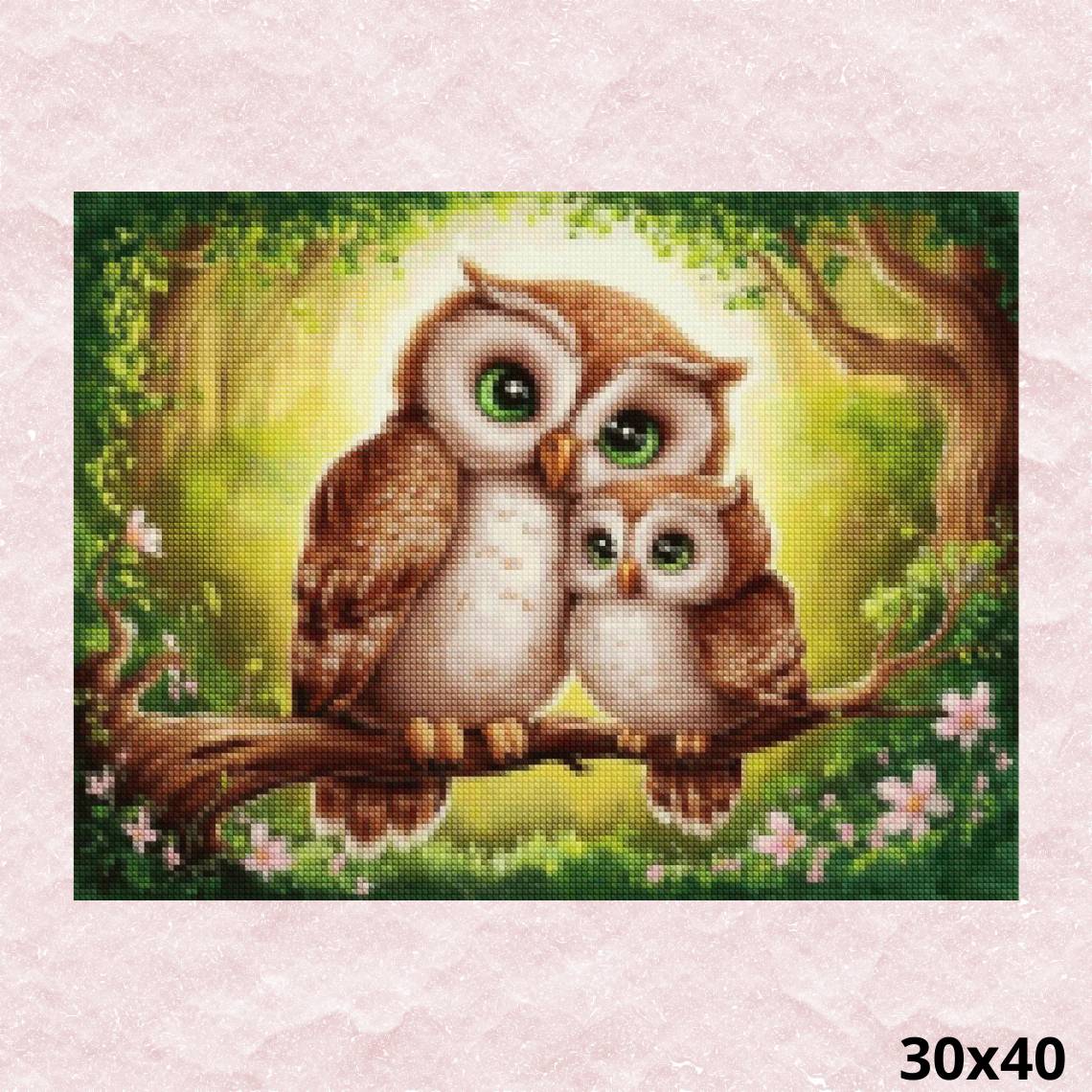 Little Owls 30x40 - Diamond Painting