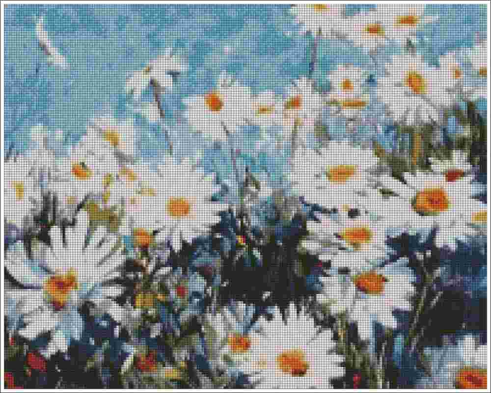 Daisy Flower - Diamond Art