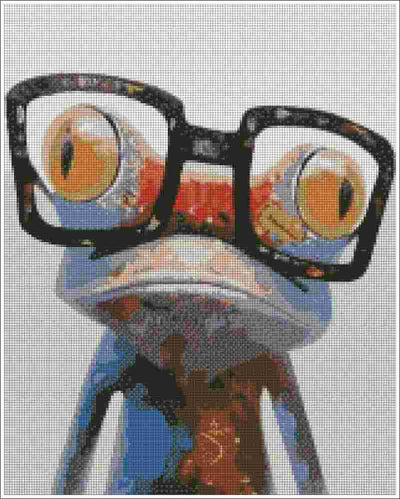 Frog with Glasses - Diamond Painting