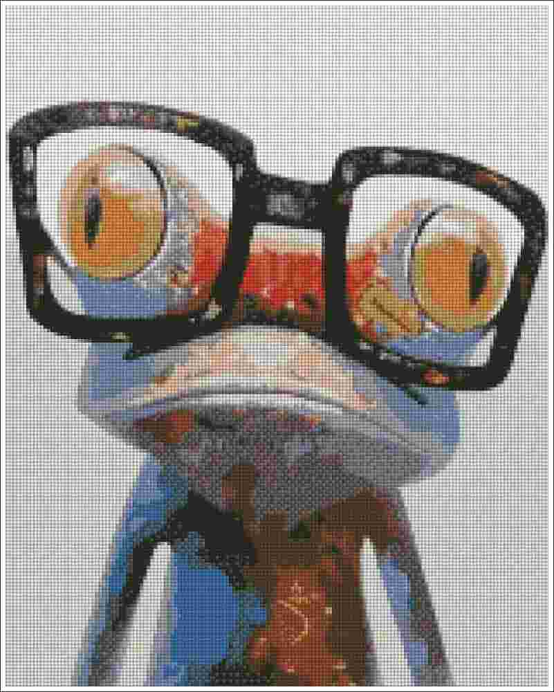 Frog with Glasses - Diamond Painting