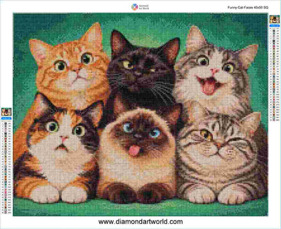Funny Cat Faces - Diamond Painting Layout