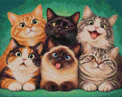 Funny Cat Faces - Diamond Art