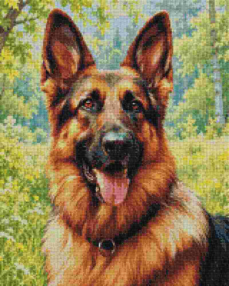 A close-up portrait of a German Shepherd dog with tan and black fur, pink tongue, and a dark collar, set against a blurred green outdoor background. German Shepherd Diamond Painting