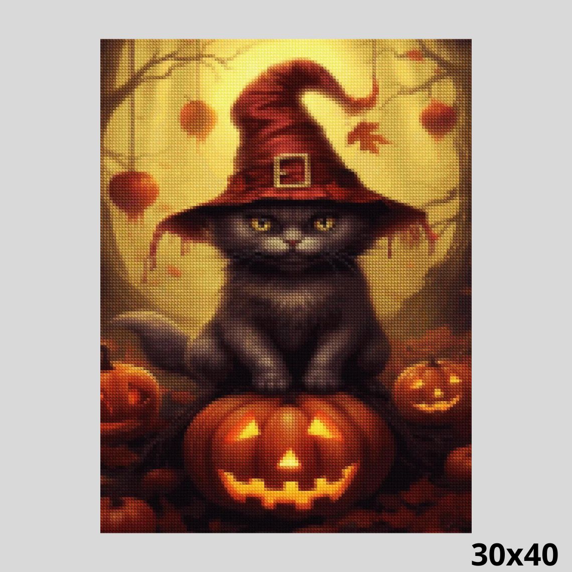 Halloween Cat 30x40 - Diamond Painting