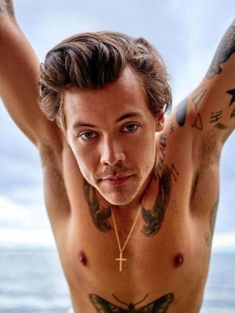 Harry Styles Diamond Painting – Diamond Painting