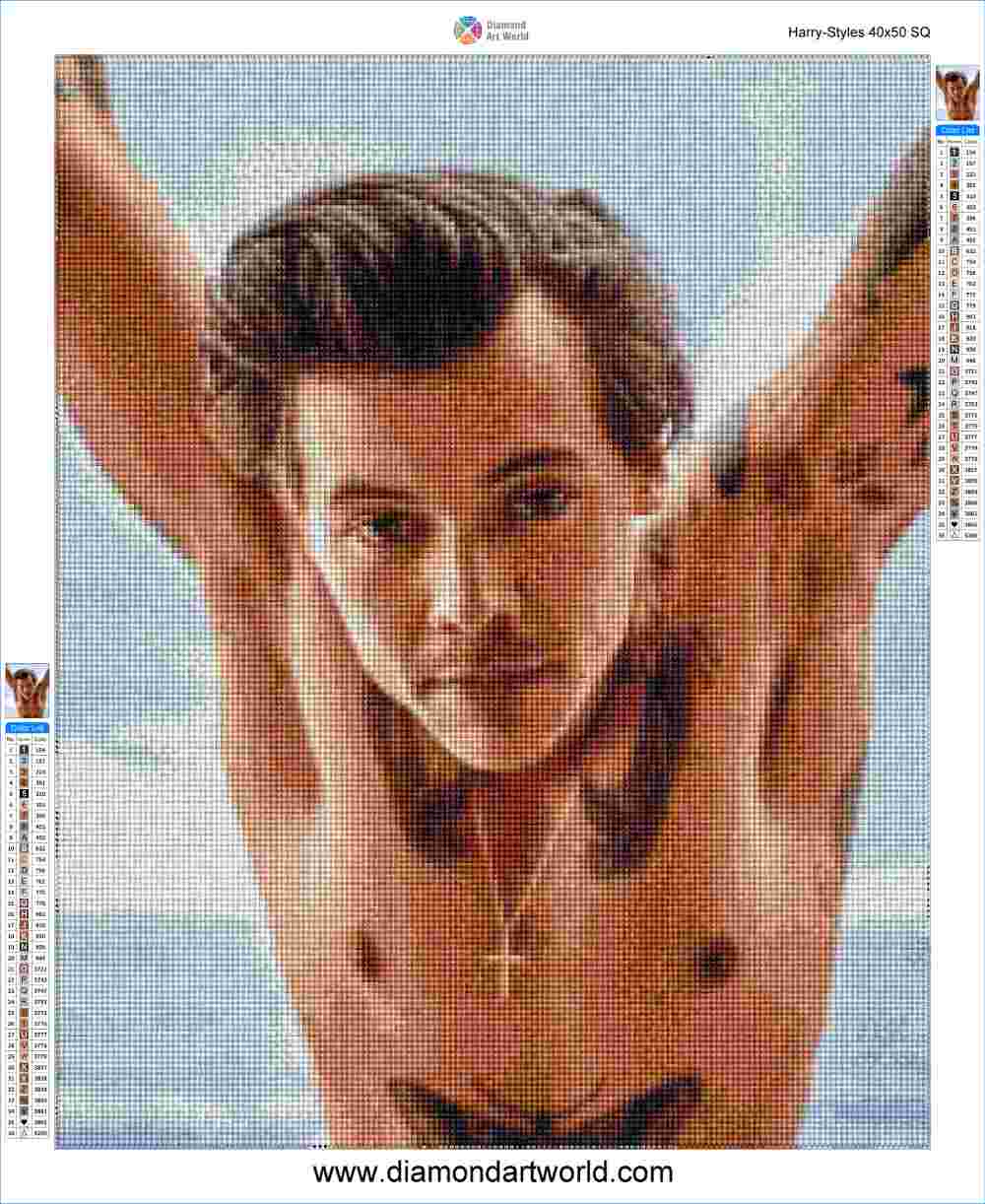 Harry Styles - Diamond Painting Layout