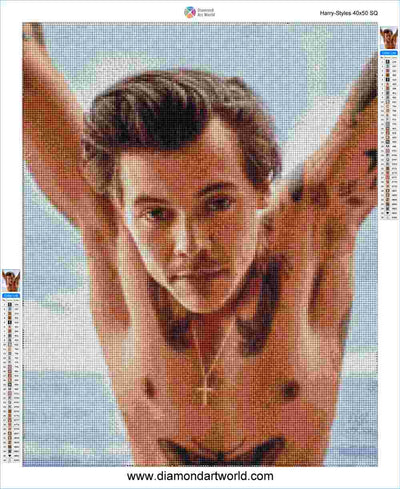 Harry Styles - Diamond Painting Layout
