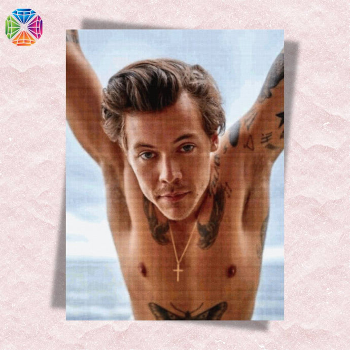 Harry Styles - Diamond Painting