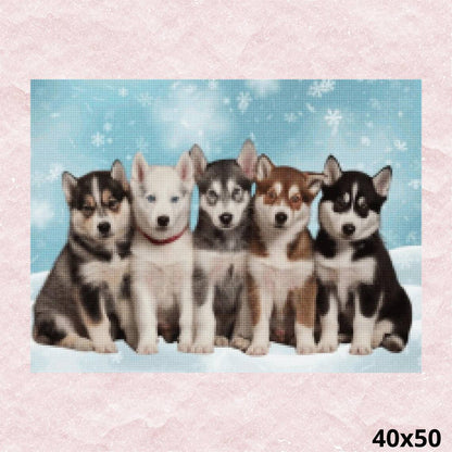 Husky Pack 40x50 - Diamond Painting