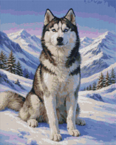 Snowy Husky - Diamond Art