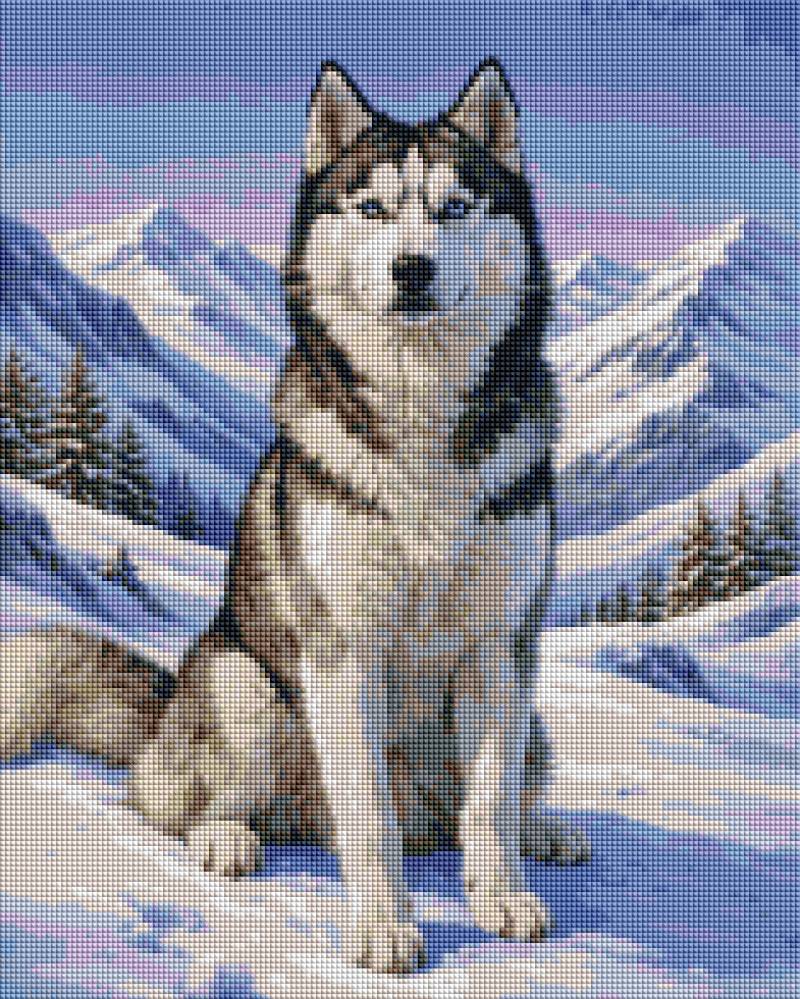 Snowy Husky - Diamond Art