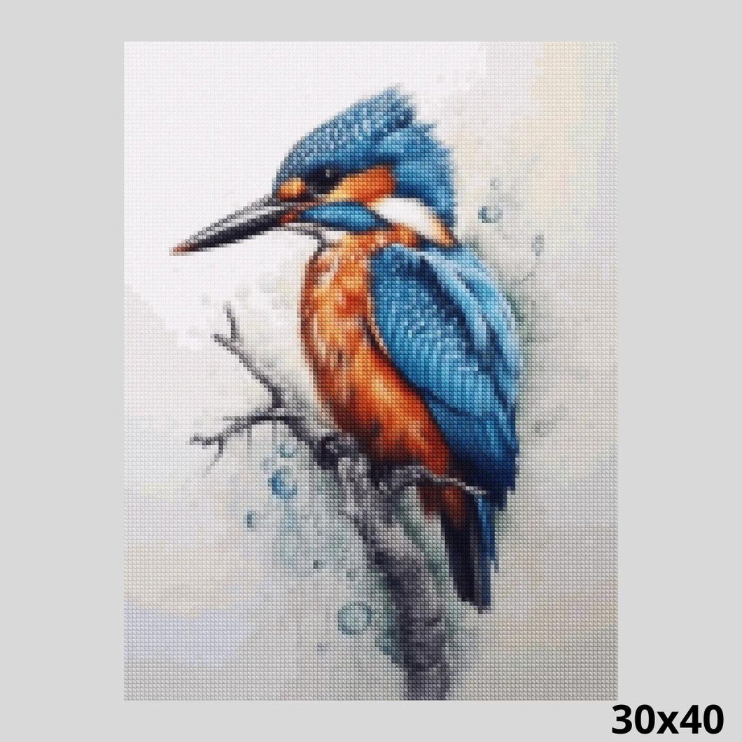 Kingfisher Bird 30x40 Paint with Diamonds