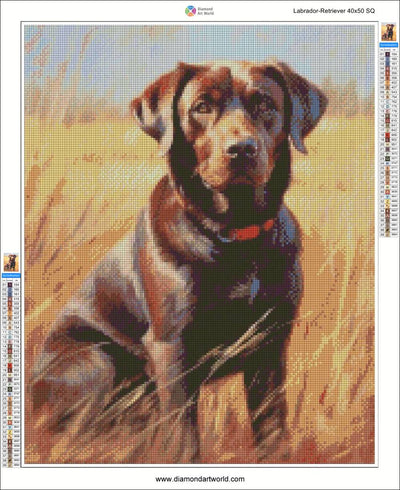 Diamond painting layout of a brown labrador sitting in grass with software interface on the sides.