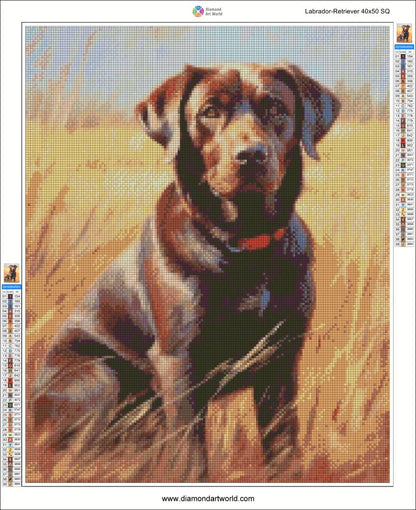 Diamond painting layout of a brown labrador sitting in grass with software interface on the sides.