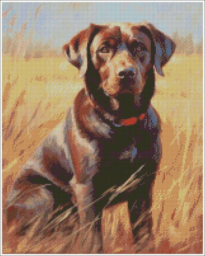 Painting of a brown labrador sitting in tall grass. Labrador Retriever - Diamond art