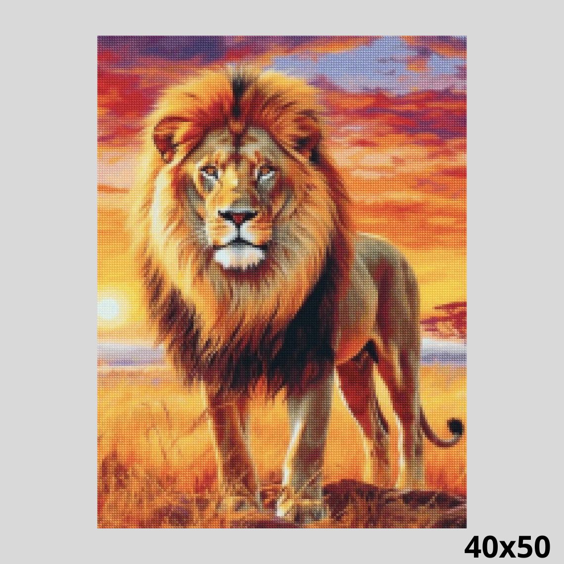 Lion King 40x50 - Diamond Painting