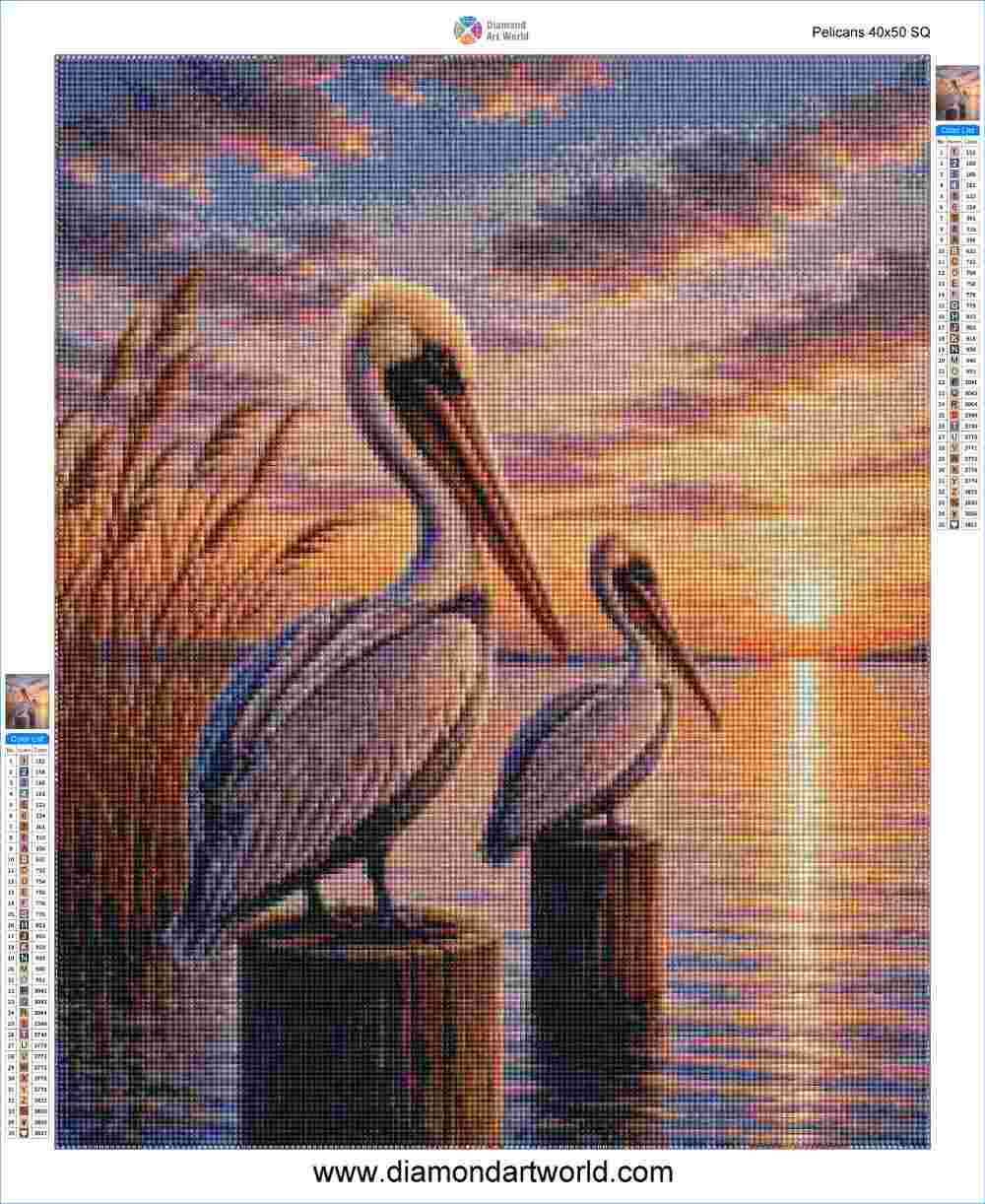 Pelicans - Diamond Painting Layout