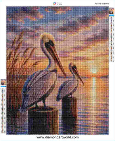 Pelicans - Diamond Painting Layout