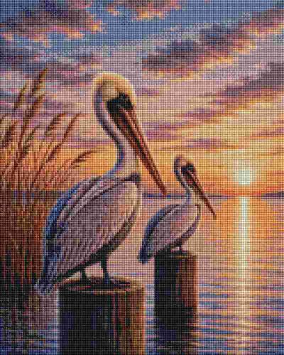Pelicans - Diamond Art