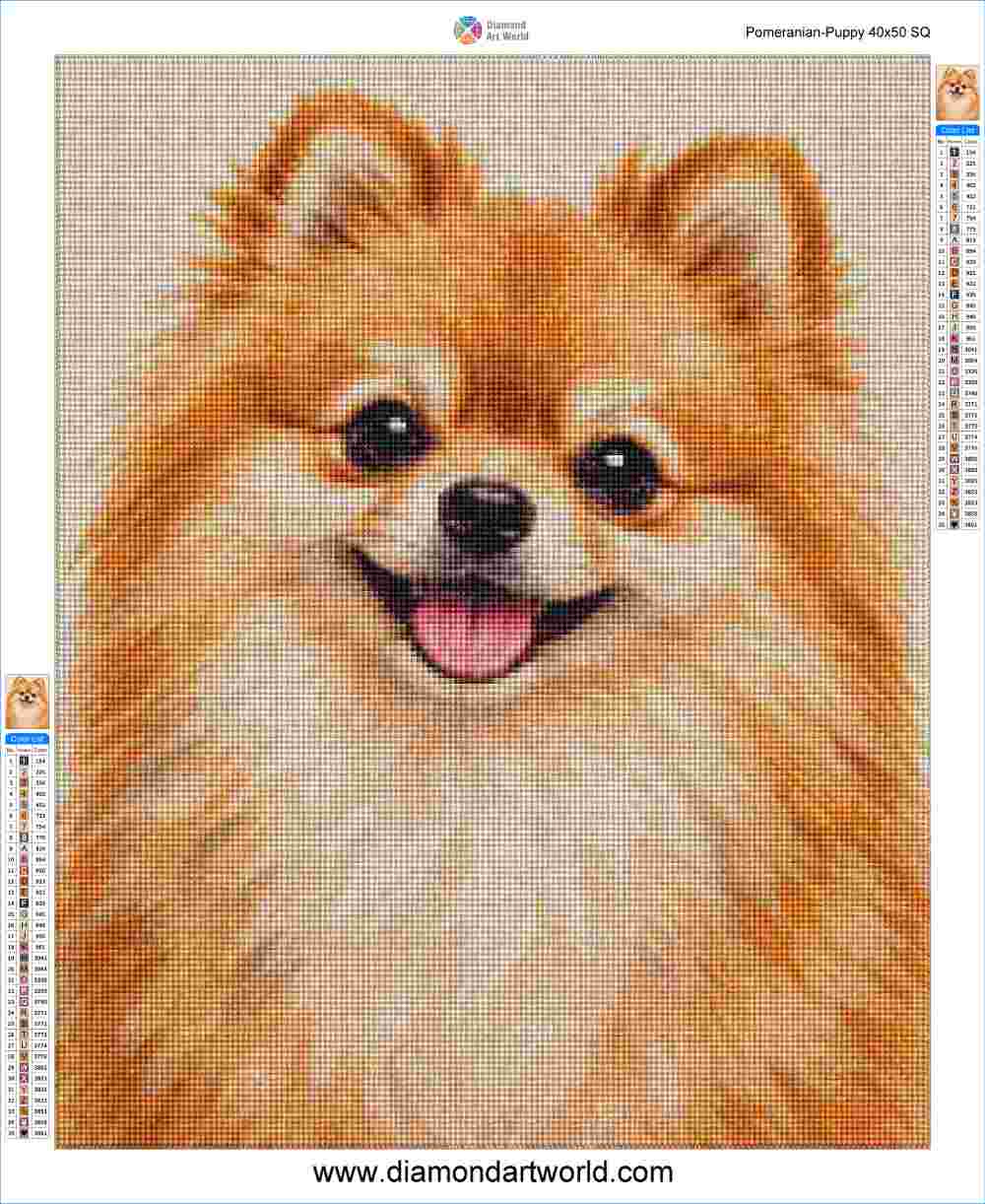 Pomeranian Puppy - Diamond Painting Layout