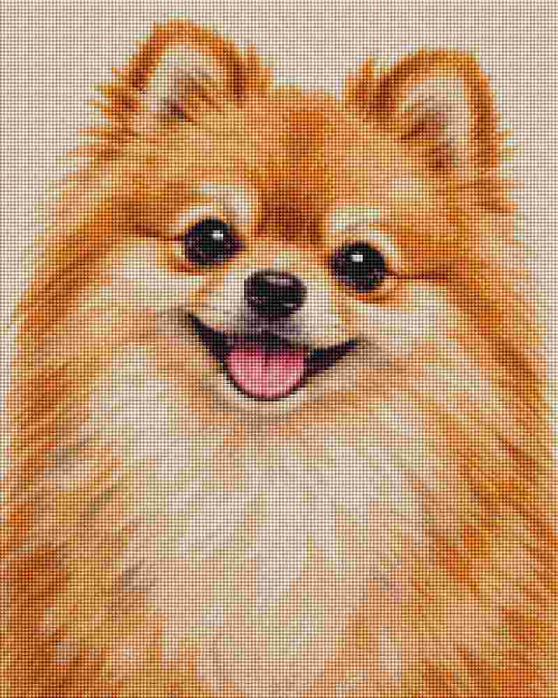Pomeranian Puppy - Diamond Art
