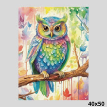 Load image into Gallery viewer, Rainbow Owl 40x50 - Diamond Painting
