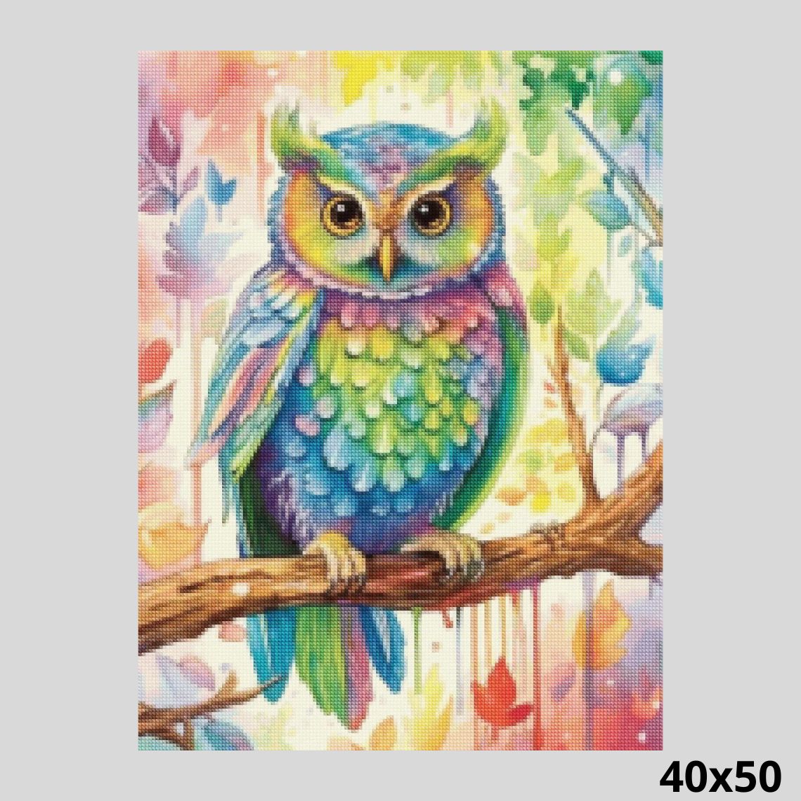 Rainbow Owl Diamond Painting | Paint with Diamonds Bird Canvas