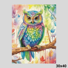 Load image into Gallery viewer, Rainbow Owl 30x40 - Diamond Painting

