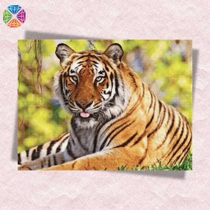 Resting Tiger - Diamond Painting